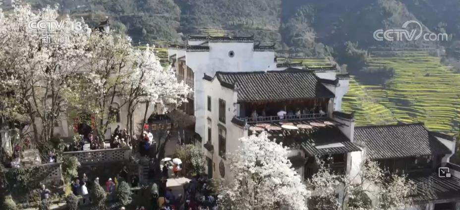 旅游市场“稳开高走持续回暖” 各地做好游客服务保障工作(图1)